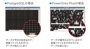 PowerGres Plus の透過的データ暗号化